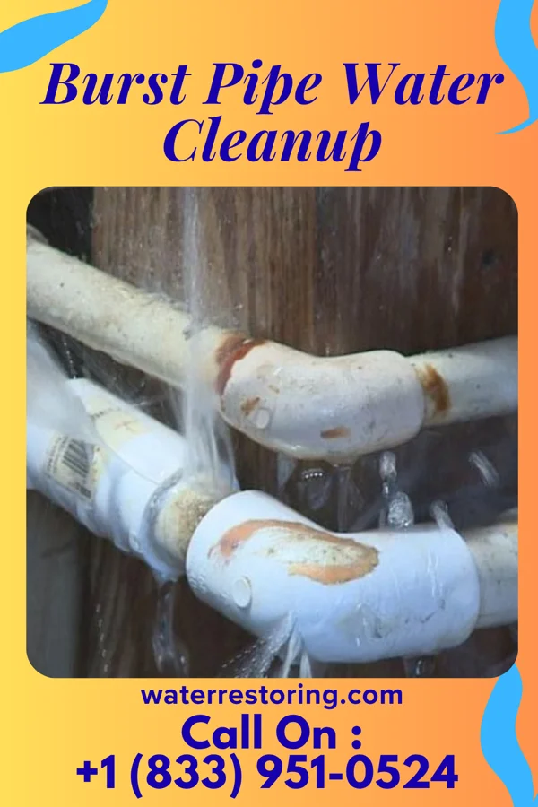 Burst Pipe Water Cleanup in Madison, PA