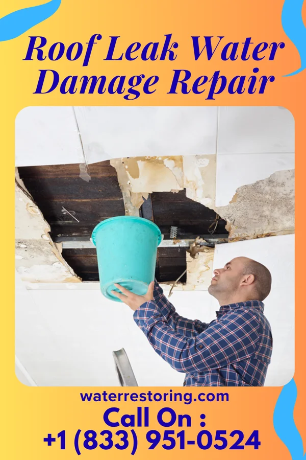 Roof Leak Water Damage Repair in Madison, PA