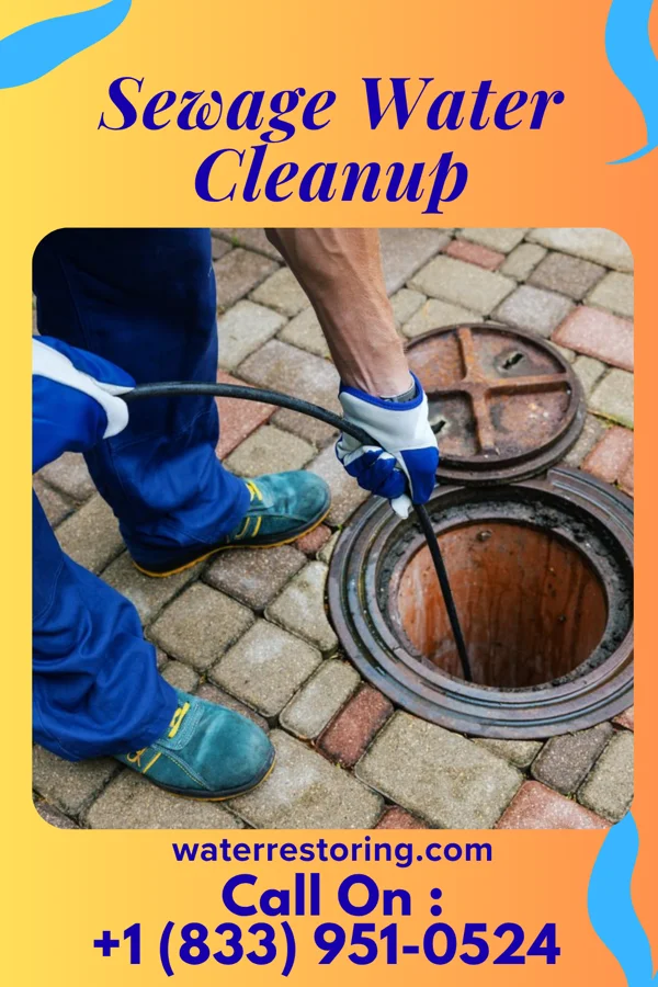 Sewage Water Cleanup in Madison, PA
